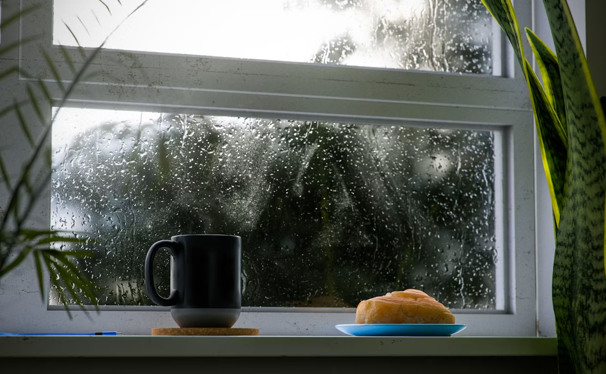 Protecting Your Home’s Ambiance: Weatherproofing Essentials
