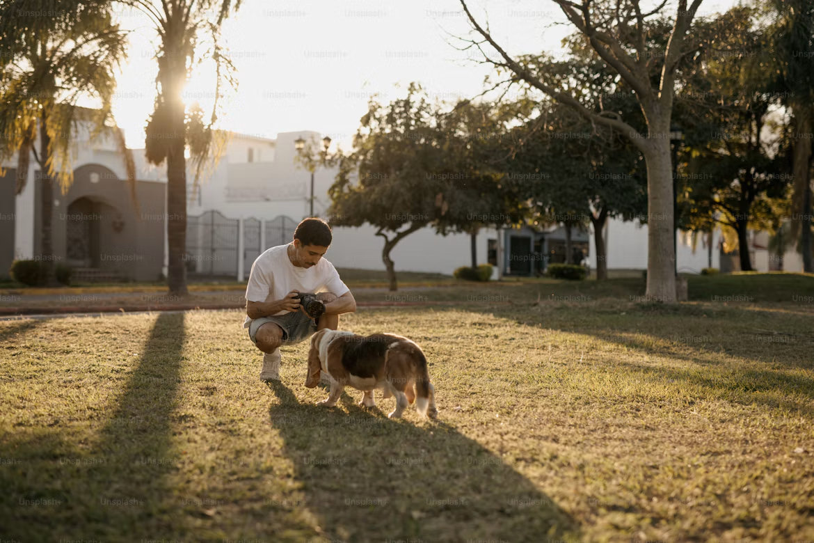 How to Keep Your Backyard Safe for Curious Dogs
